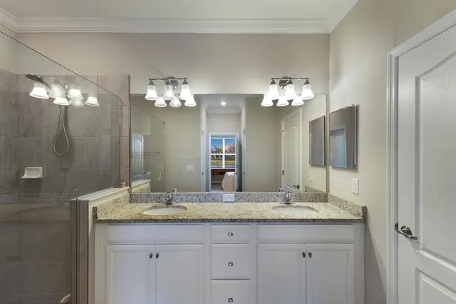 a bathroom with a granite countertop sink a large mirror and a light fixture