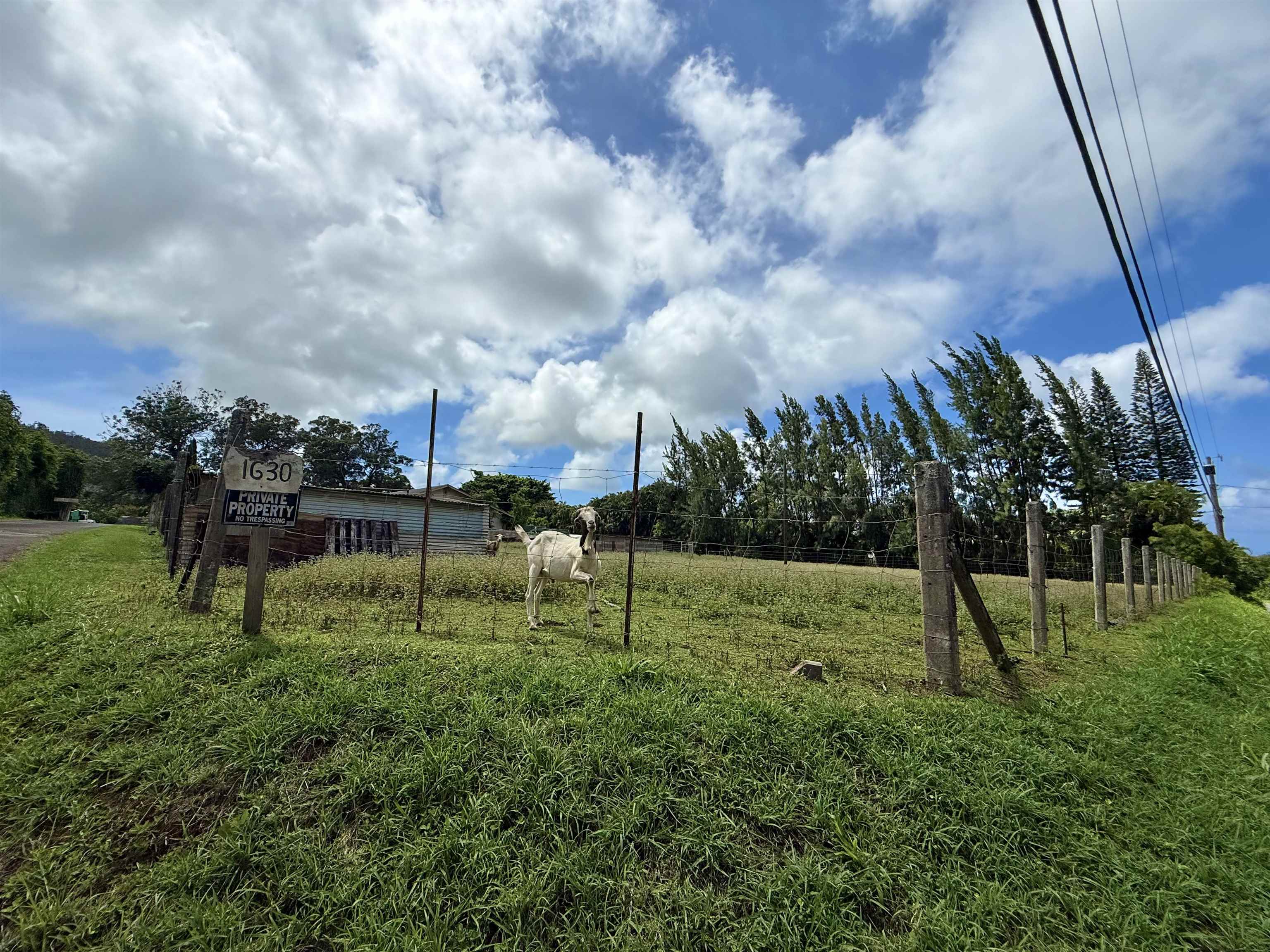 1630 Kauhikoa Road Haiku, HI 96708 - Photo 4 of 48 a view of outdoor space with garden