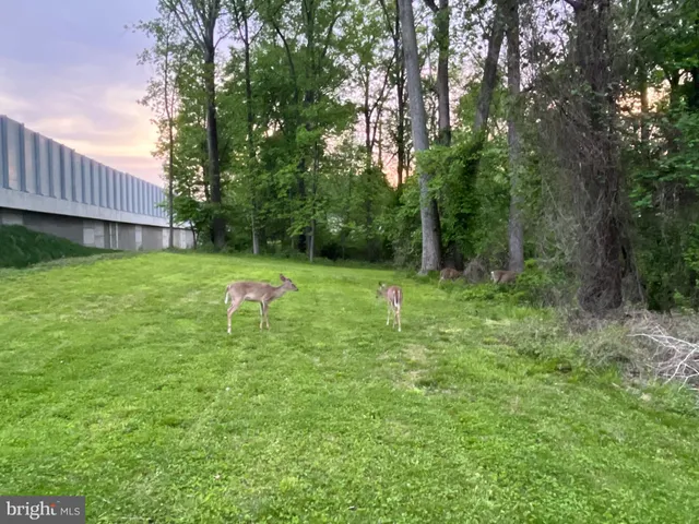 a backyard of a house with lots of green space and trampoline