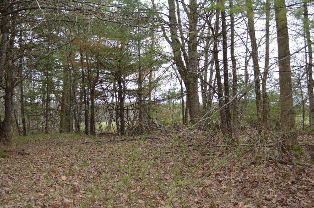 54 Ward Road North Monmouth, ME 04265 - Photo 10 of 16 Photo