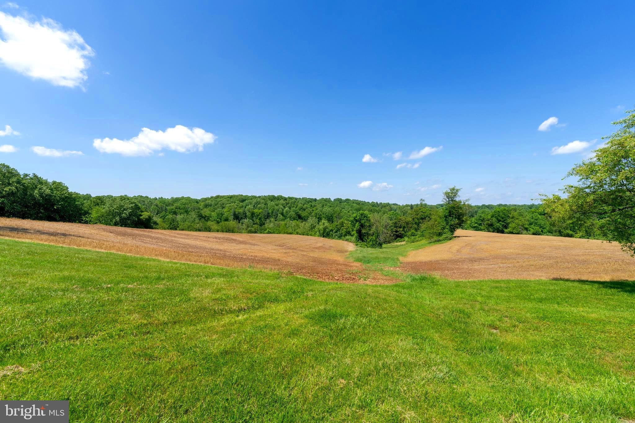 14015 Glen High Road Baldwin, MD 21013 - Photo 47 of 63