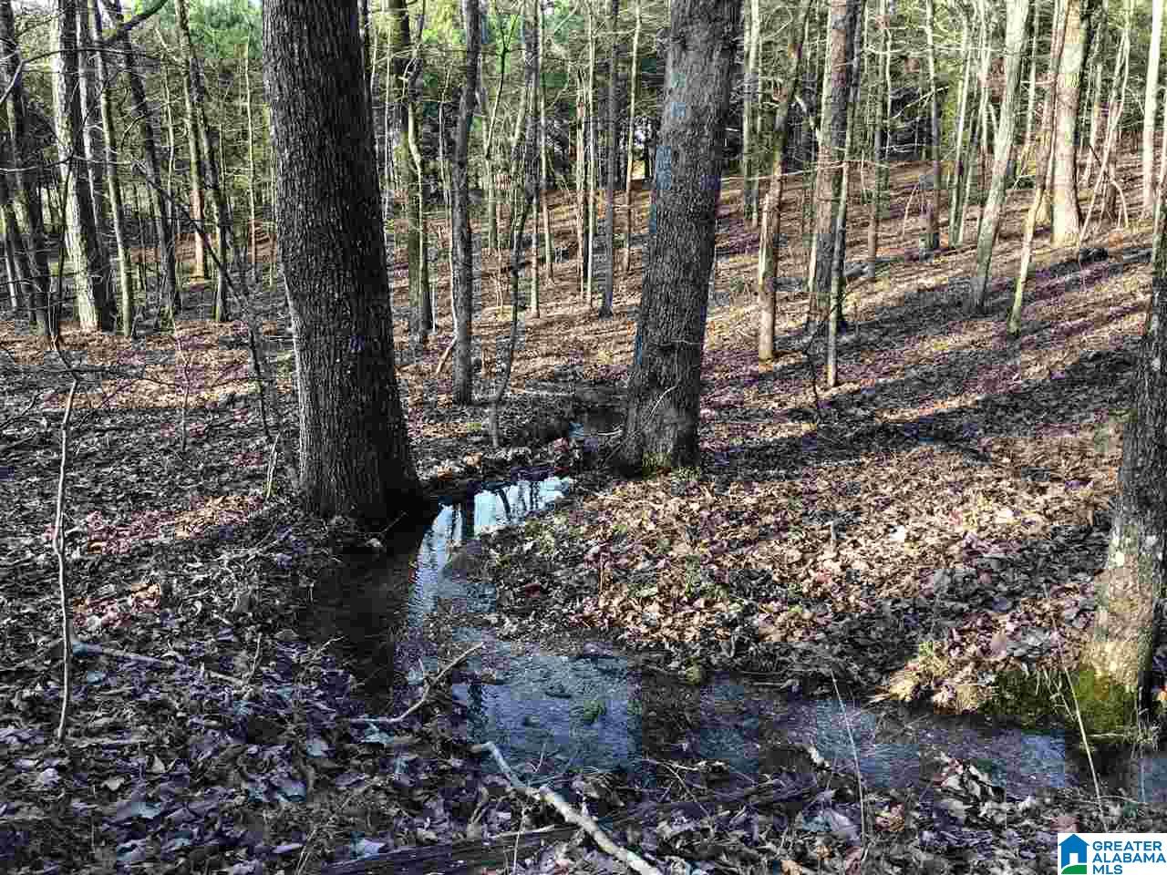 0 Drake Drive Springville, AL 35146 - Photo 16 of 23