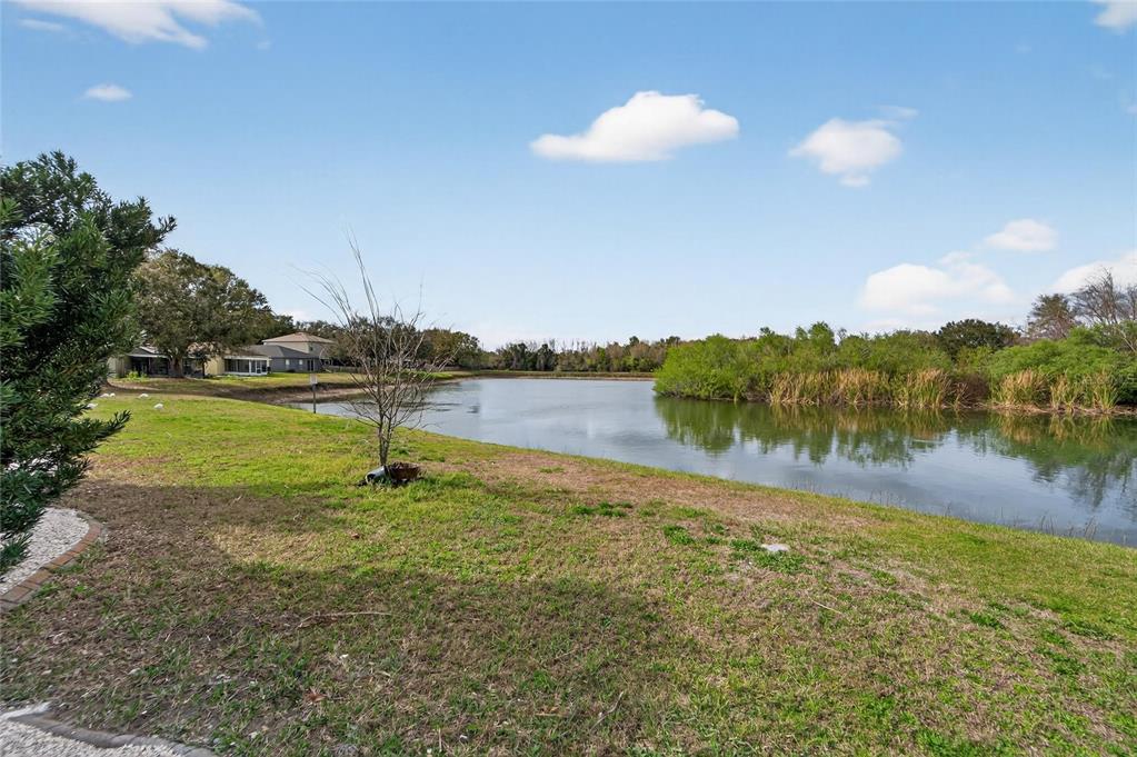 1112 Lake Shore Ranch Drive Seffner, FL 33584 - Photo 69 of 100