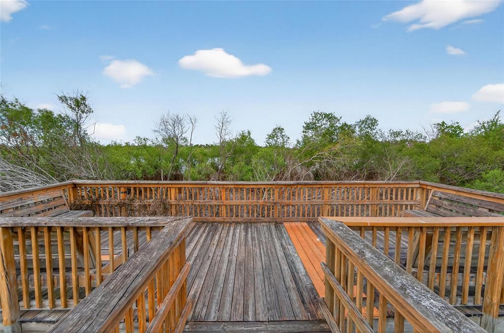 1112 Lake Shore Ranch Drive Seffner, FL 33584 - Photo 81 of 100