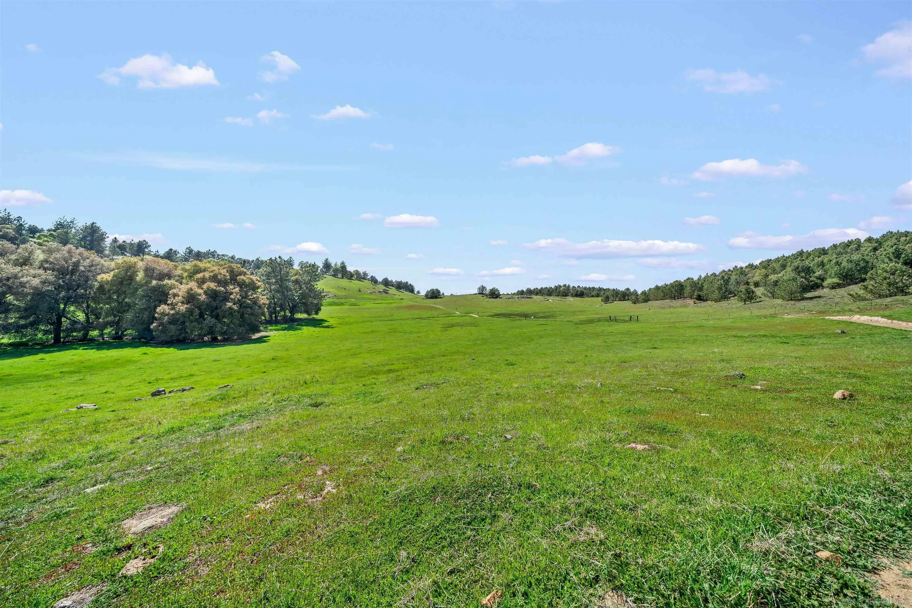 2464 Wynola Road Julian, CA 92036 - Photo 46 of 50 a view of a big yard with swimming pool and green space