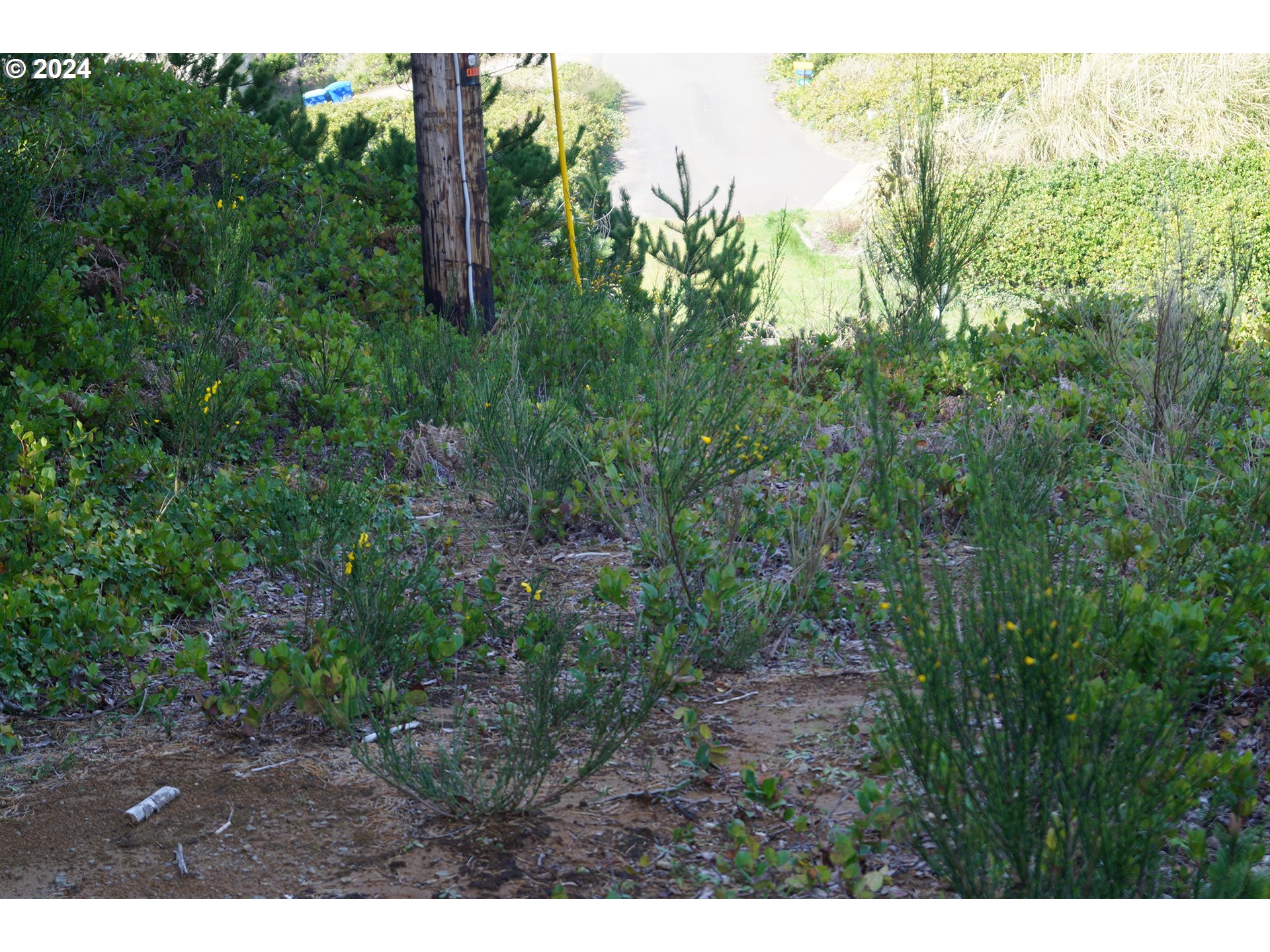 6400 Division Street Depoe Bay, OR 97341 - Photo 5 of 6 a view of outdoor space and view of trees