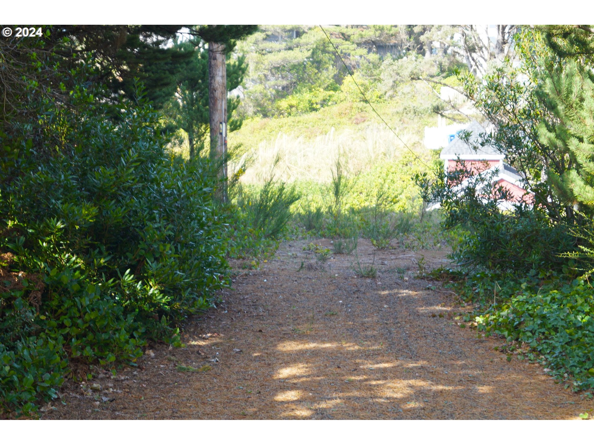6400 Division Street Depoe Bay, OR 97341 - Photo 6 of 6 a view of a yard with plants and large trees