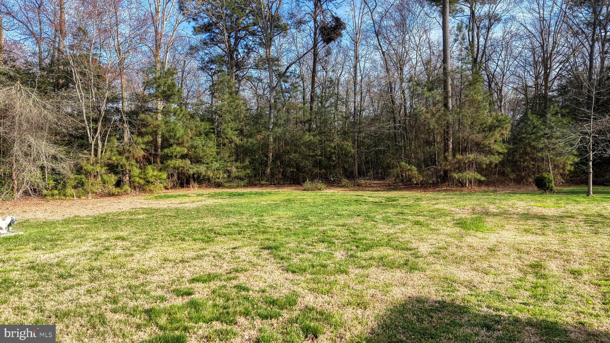 111 Sunset Strip Dagsboro, DE 19939 - Photo 34 of 52