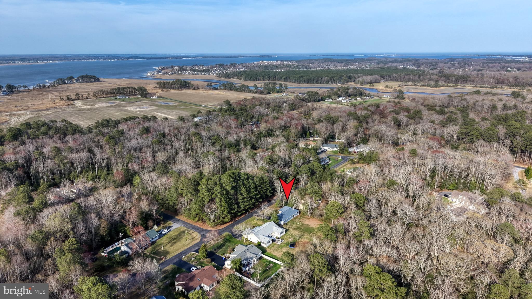 111 Sunset Strip Dagsboro, DE 19939 - Photo 4 of 52