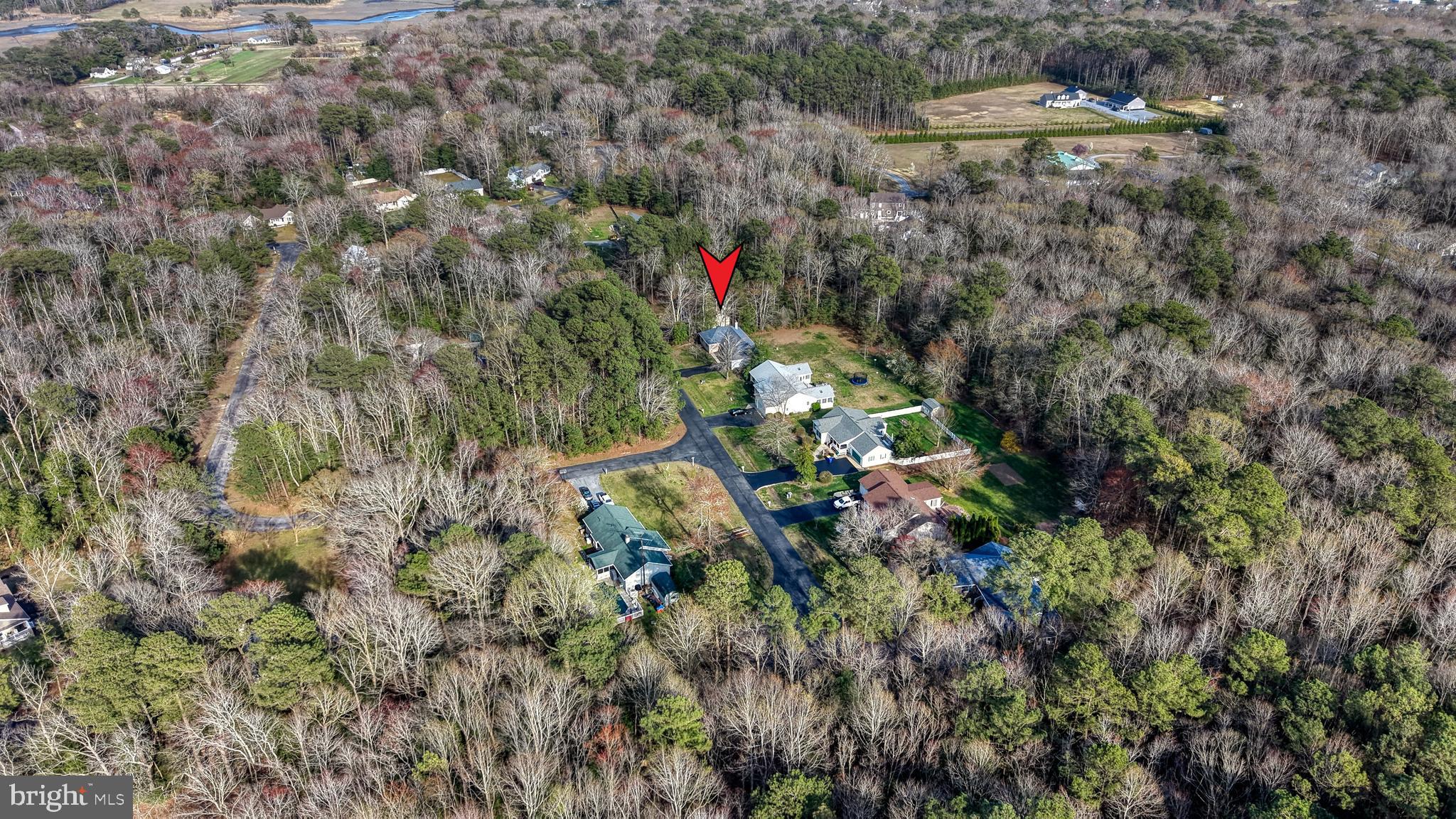 111 Sunset Strip Dagsboro, DE 19939 - Photo 46 of 52