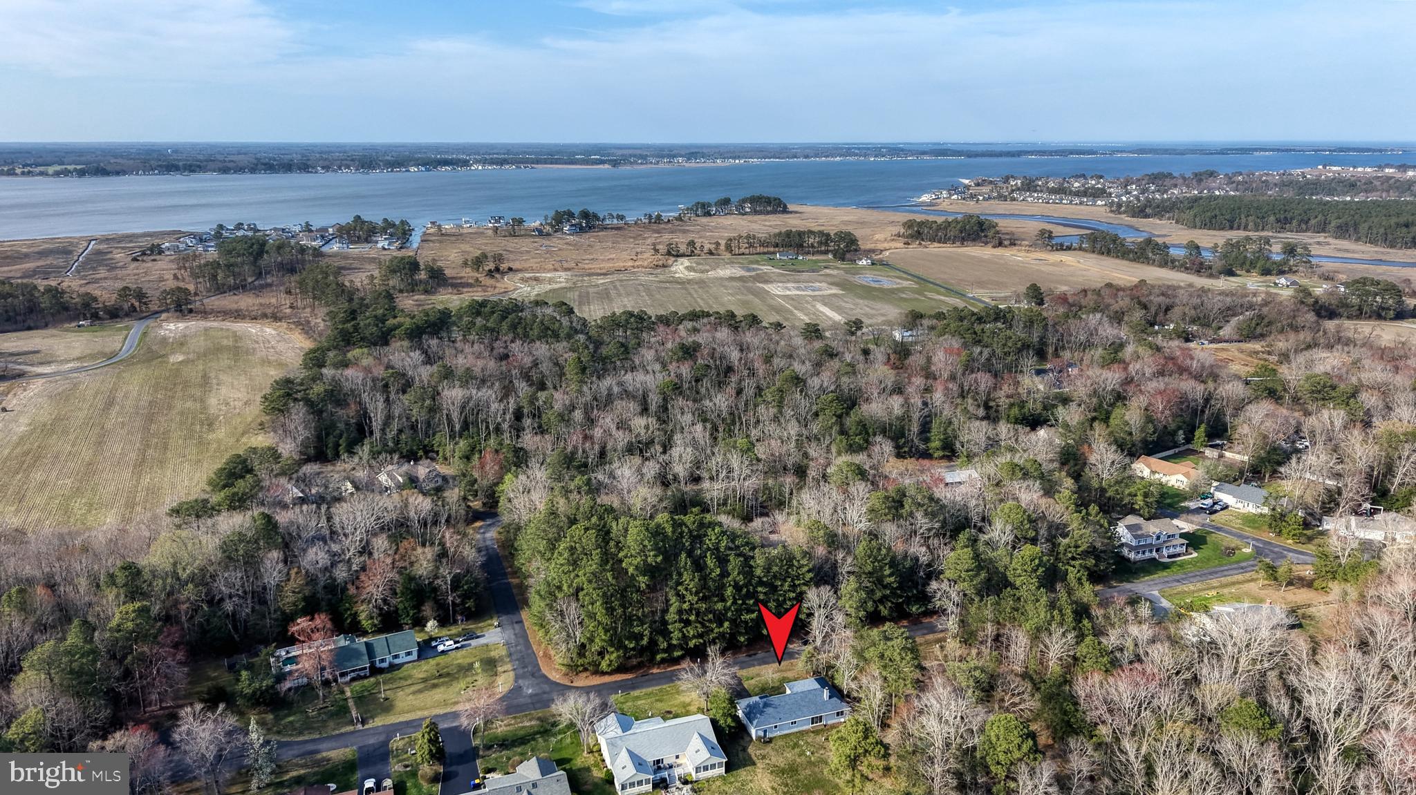 111 Sunset Strip Dagsboro, DE 19939 - Photo 48 of 52