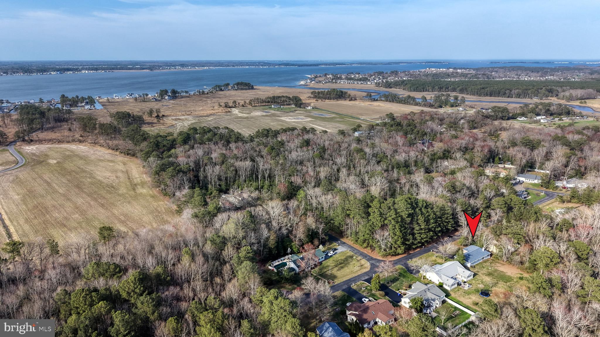 111 Sunset Strip Dagsboro, DE 19939 - Photo 49 of 52