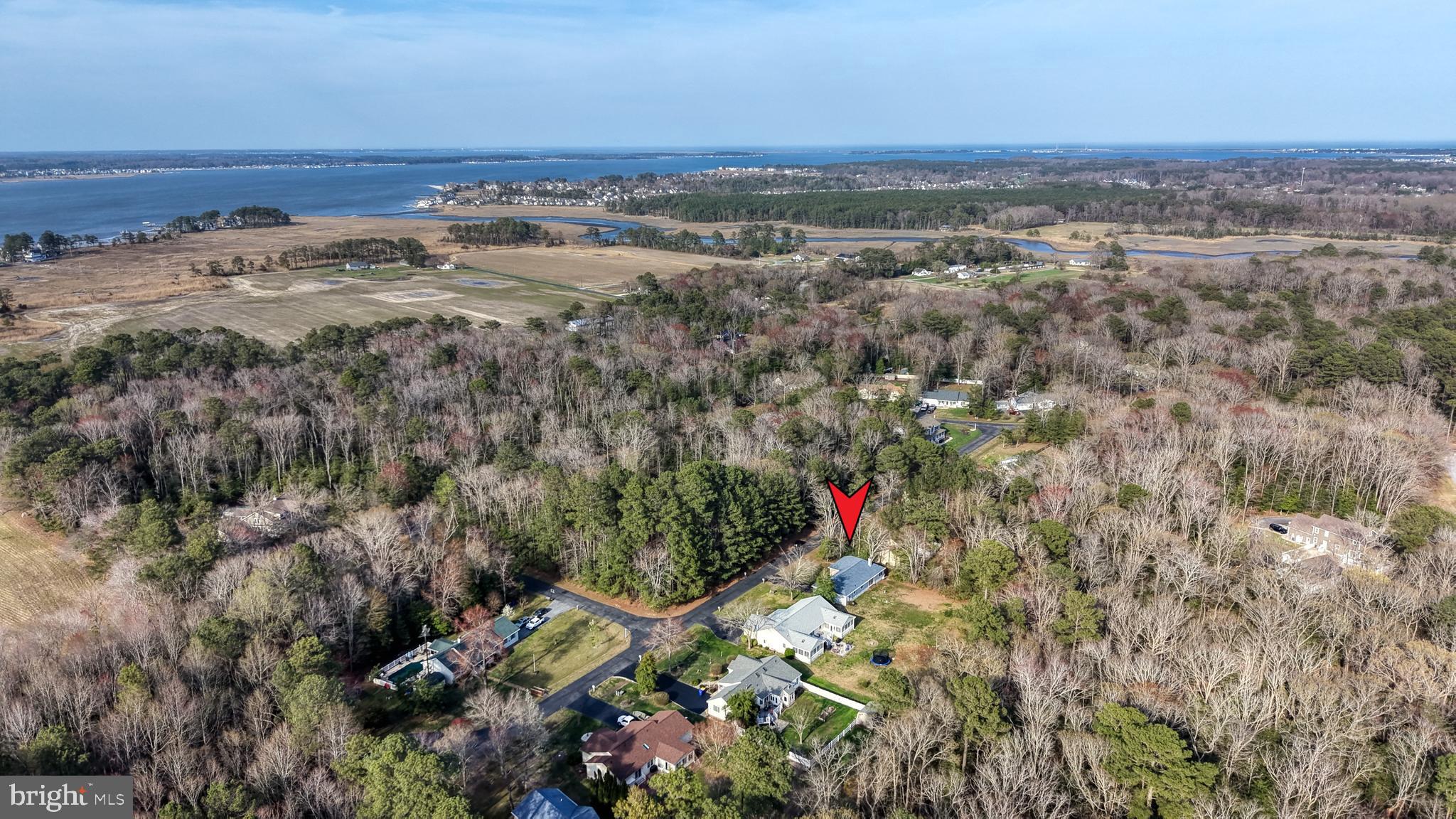 111 Sunset Strip Dagsboro, DE 19939 - Photo 50 of 52