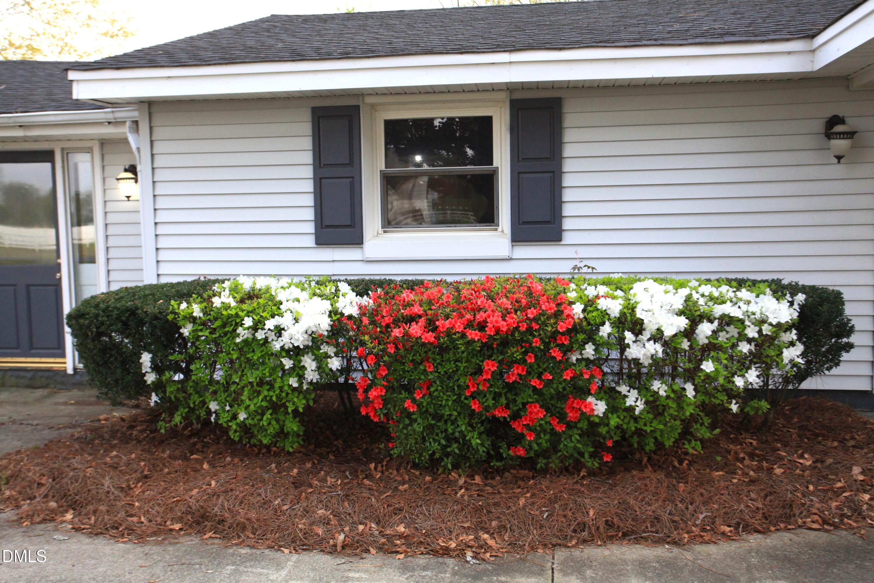 2351 Mt Pleasant Road Willow Spring, NC 27592 - Photo 23 of 39 Front yard landscaping