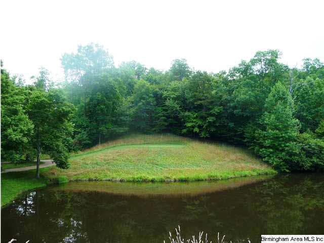 4299 Kings Mountain Ridge, Unit 754A Birmingham, AL 35242 - Photo 4 of 6