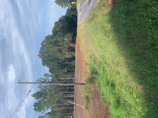 0 516 County Road Headland, AL 36345 - Photo 5 of 6