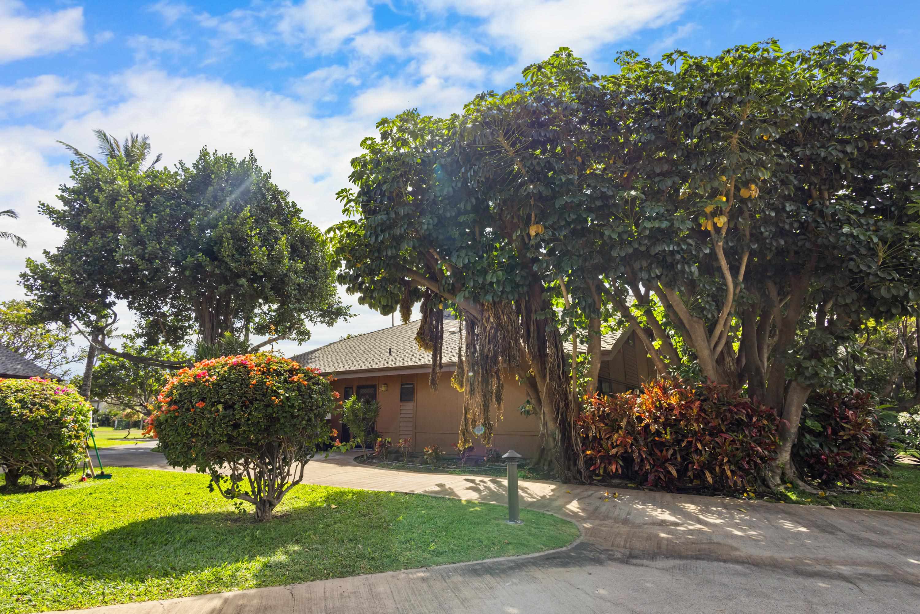 811 South Kihei Road, Unit 2F Kihei, HI 96753 - Photo 12 of 50