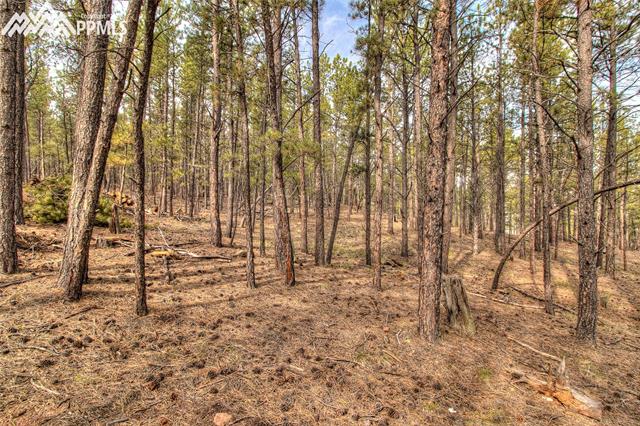 94 Pickens Road Florissant, CO 80816 - Photo 19 of 22