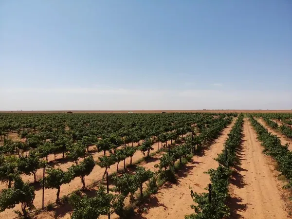 an aerial view of residential building and ocean
