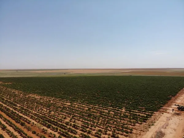 $4,600,000 | 1 Us-380, Brownfield, TX 79316