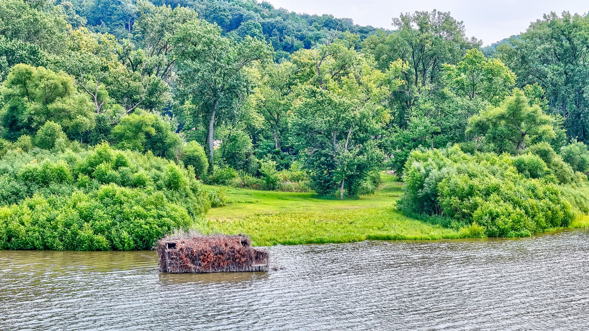 931 Highway 26 Magnolia, IL 61336 - Photo 30 of 35 a green field covered with trees
