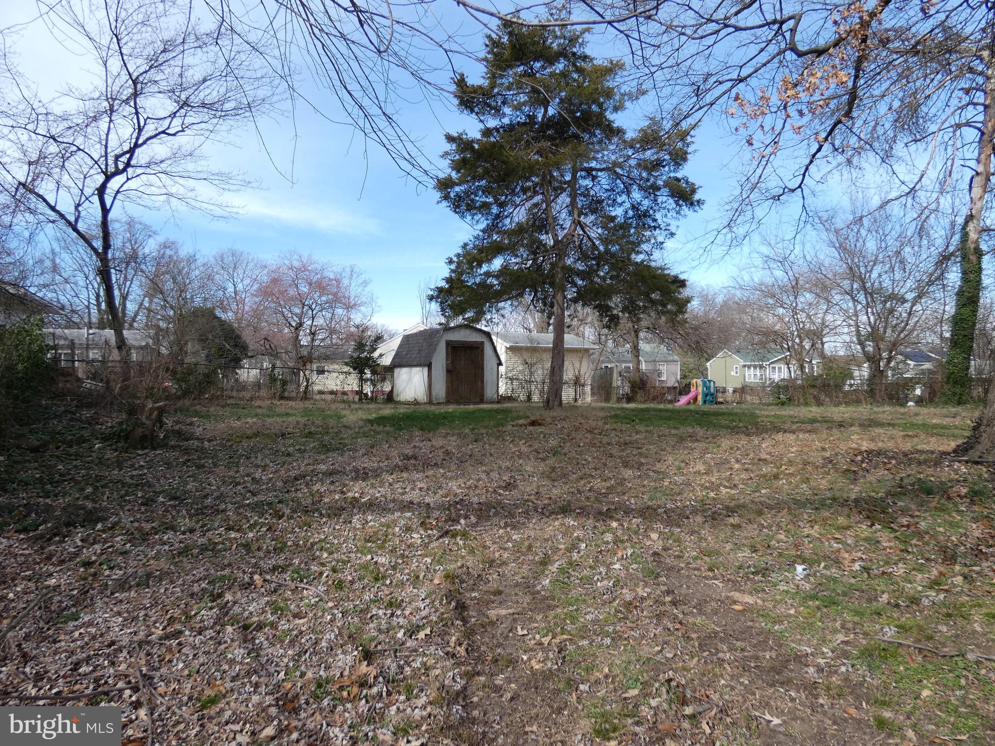 13426 Greenacre Drive Woodbridge, VA 22191 - Photo 31 of 45 a view of a yard with a tree