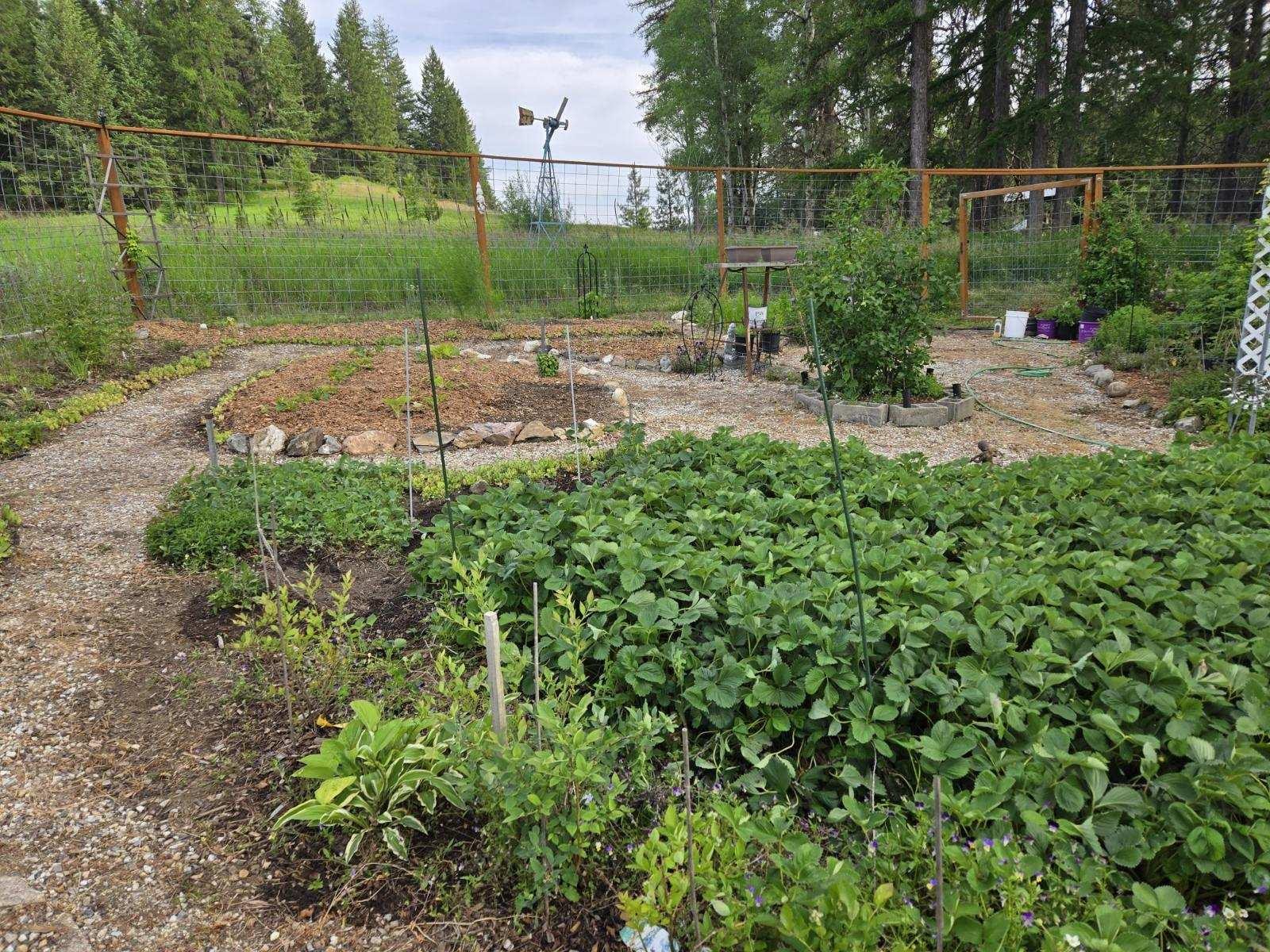 4439 Whittier Road Clayton, WA 99110 - Photo 8 of 49