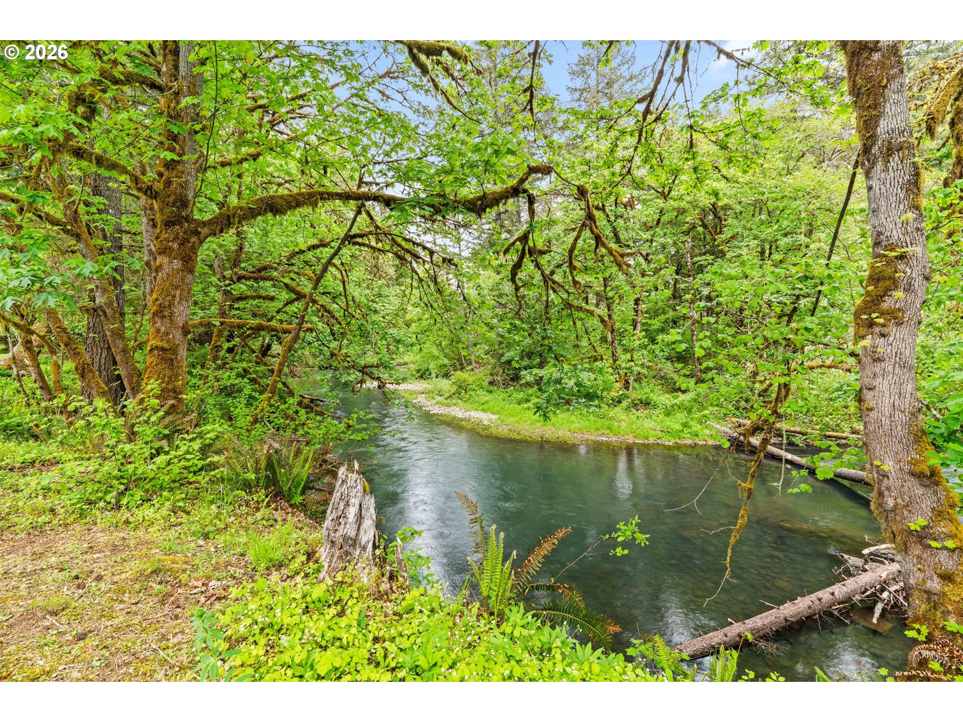 93933 Marcola Road Marcola, OR 97454 - Photo 20 of 35 a view of a lake from a yard