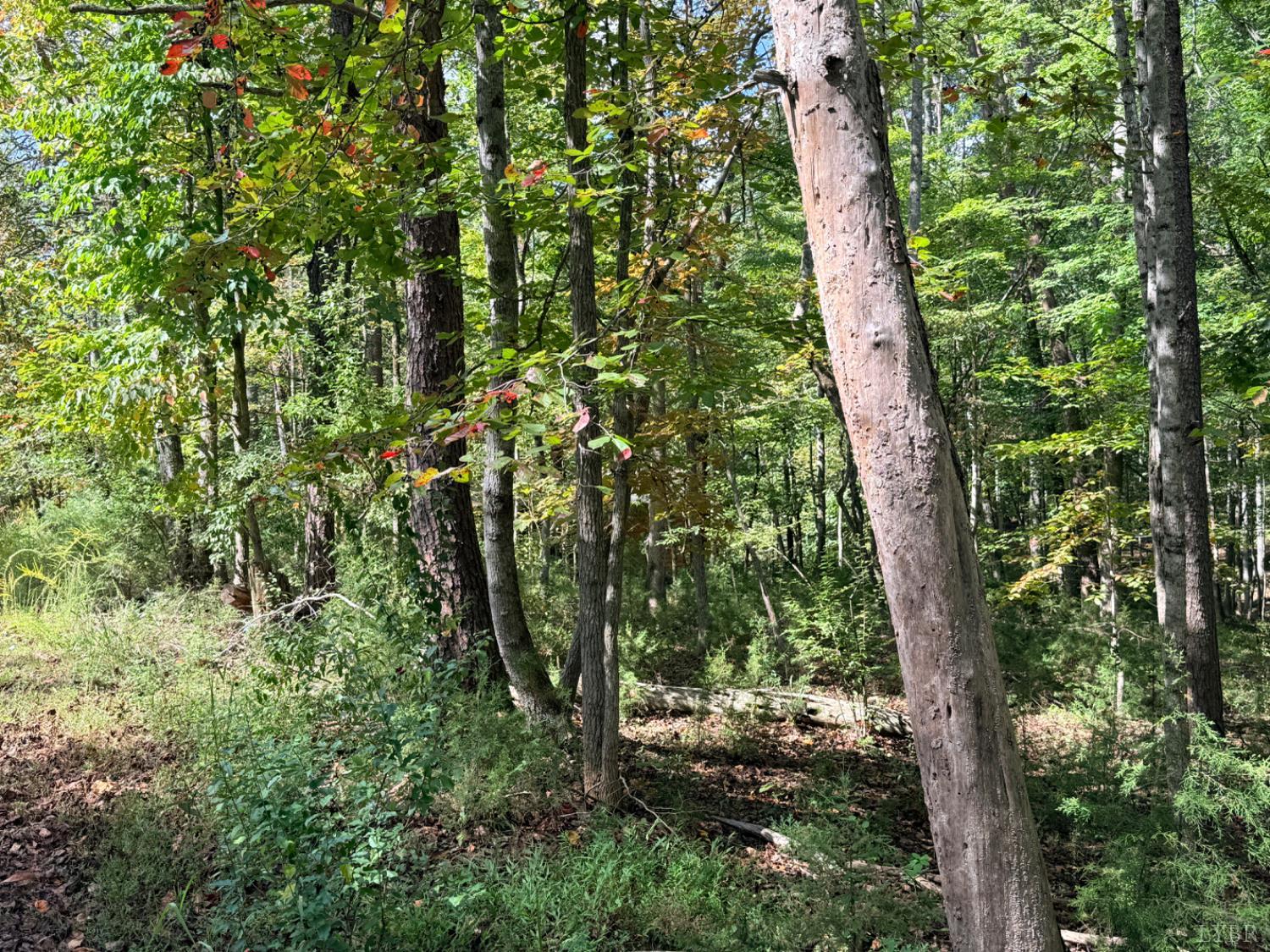 0 Lot 25 Cutlass Road Moneta, VA 24121 - Photo 11 of 25