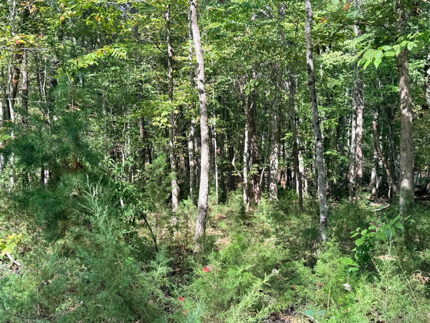 0 Lot 25 Cutlass Road Moneta, VA 24121 - Photo 12 of 25