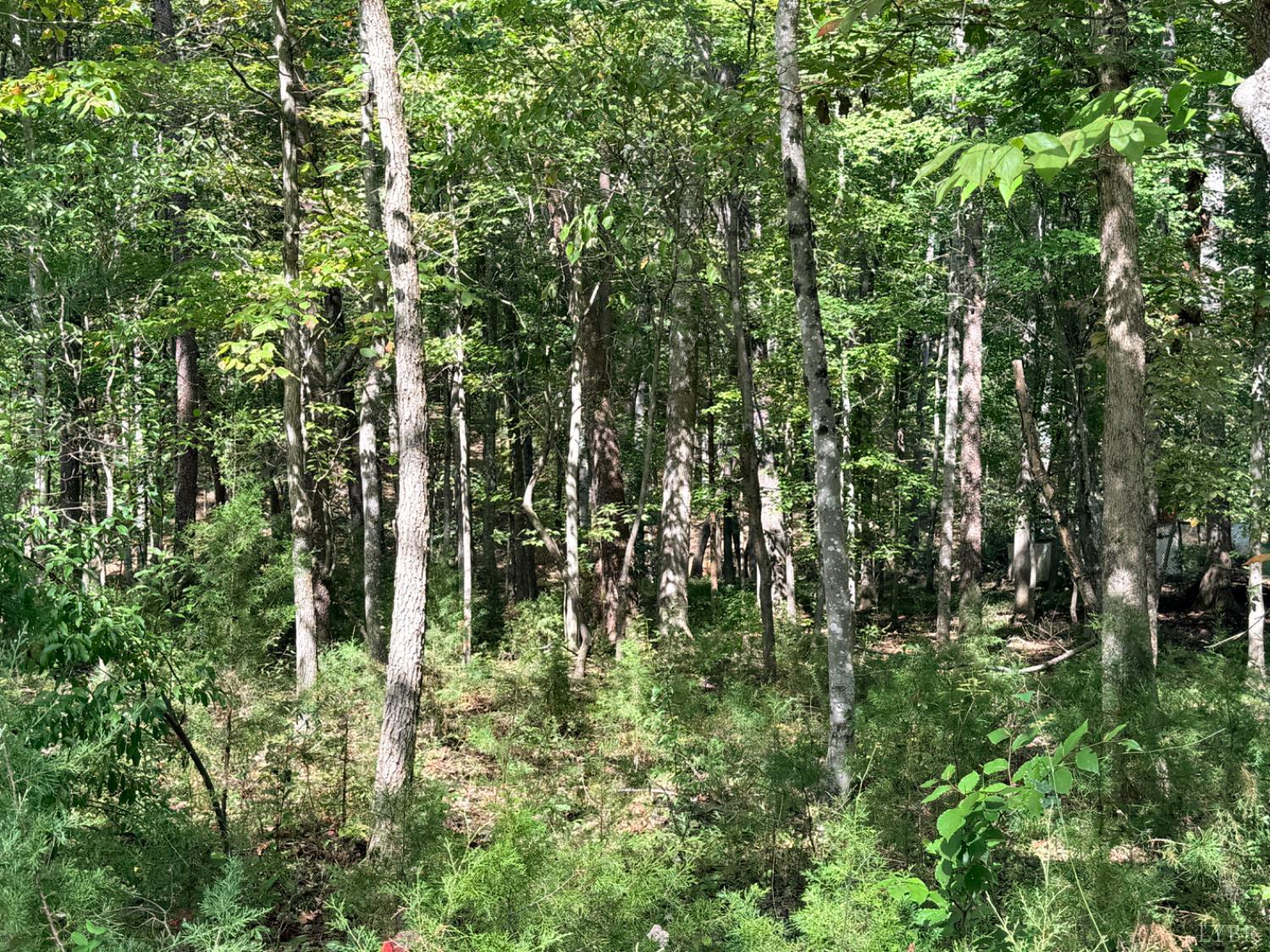 0 Lot 25 Cutlass Road Moneta, VA 24121 - Photo 14 of 25