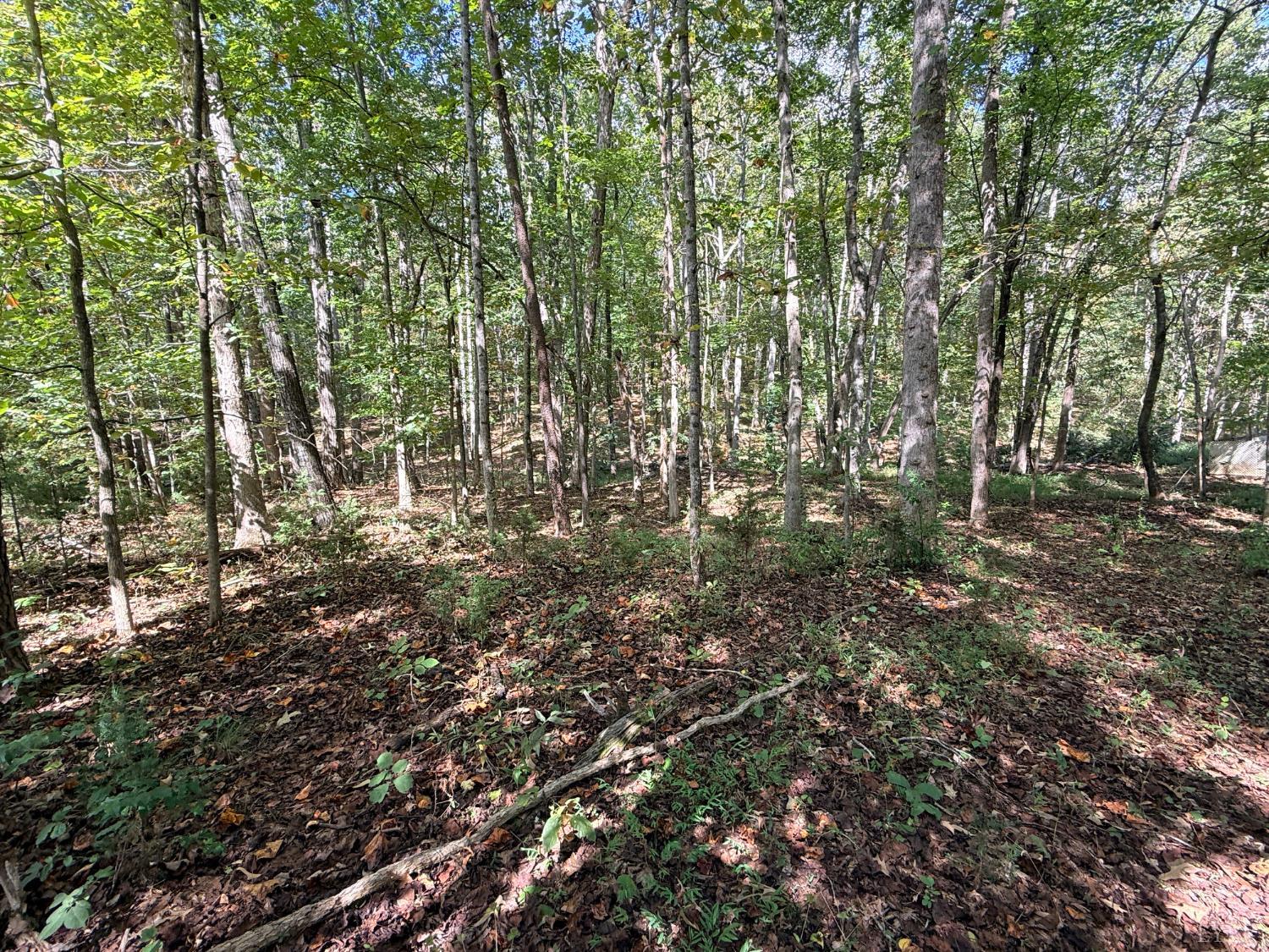 0 Lot 25 Cutlass Road Moneta, VA 24121 - Photo 17 of 25