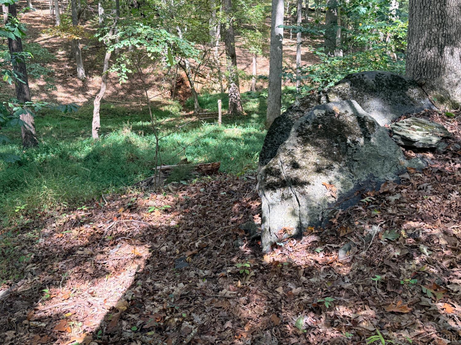 0 Lot 25 Cutlass Road Moneta, VA 24121 - Photo 19 of 25