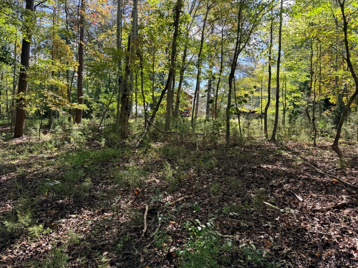 0 Lot 25 Cutlass Road Moneta, VA 24121 - Photo 21 of 25