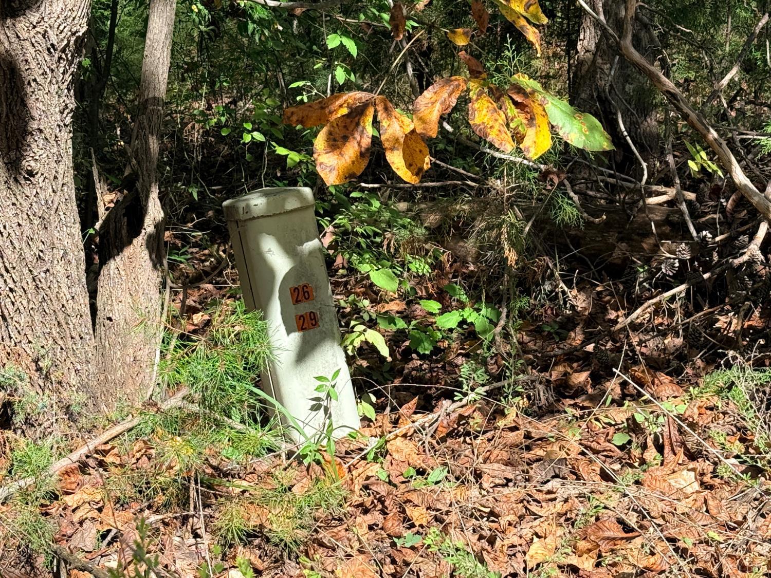 0 Lot 25 Cutlass Road Moneta, VA 24121 - Photo 3 of 25