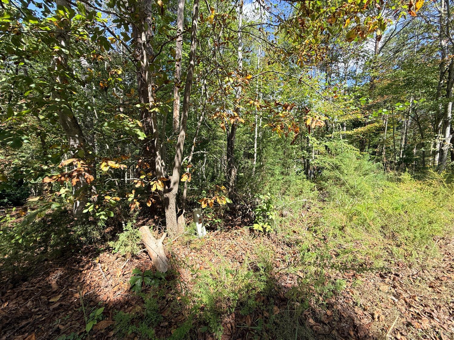 0 Lot 25 Cutlass Road Moneta, VA 24121 - Photo 5 of 25