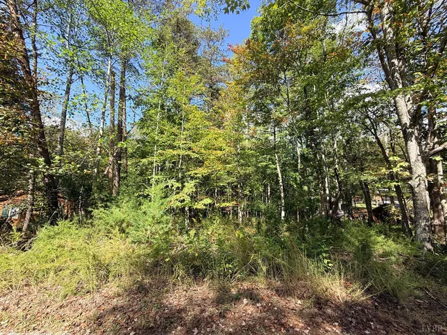 $32,500 | 0 Lot 25 Cutlass Road, Moneta, VA 24121
