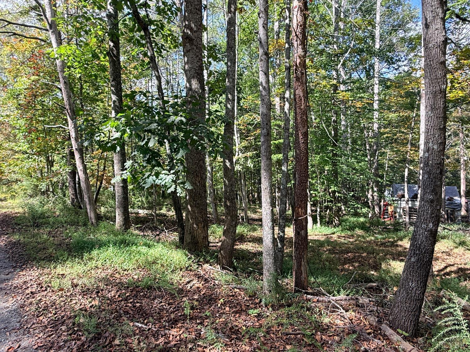 0 Lot 25 Cutlass Road Moneta, VA 24121 - Photo 7 of 25