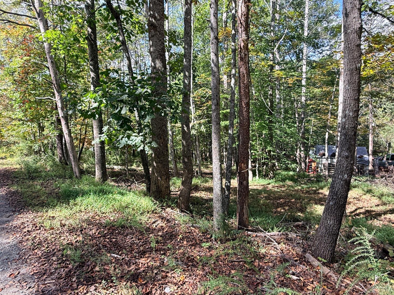 0 Lot 25 Cutlass Road Moneta, VA 24121 - Photo 8 of 25