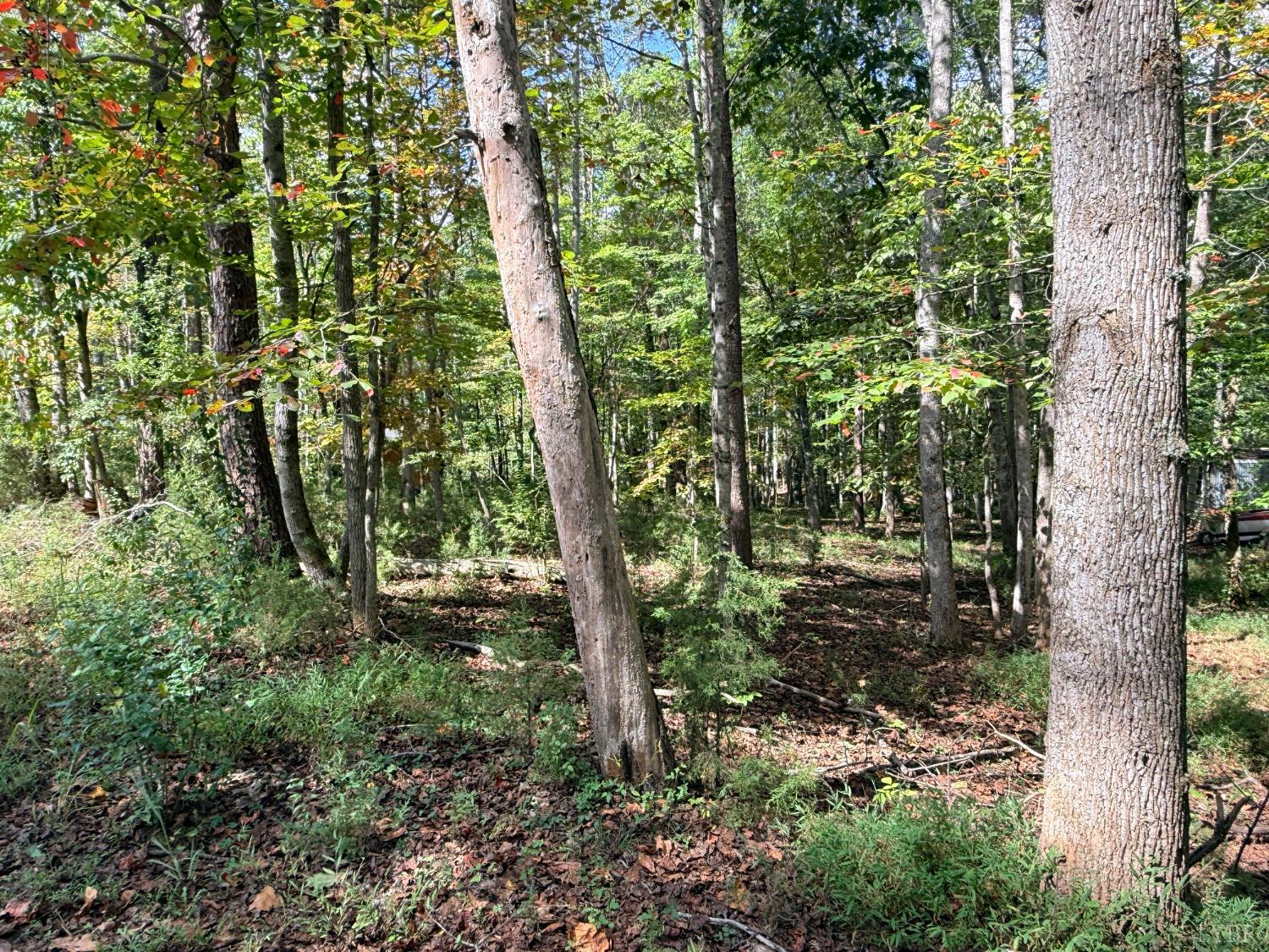 0 Lot 25 Cutlass Road Moneta, VA 24121 - Photo 9 of 25