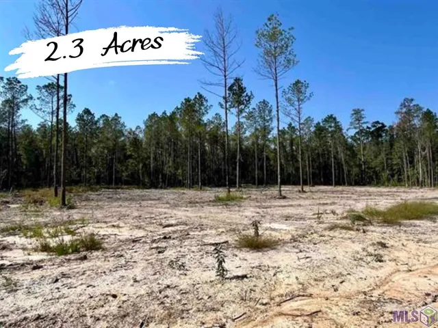 $83,720 | 26250 Wagon Wheel Drive, Holden, LA 70744