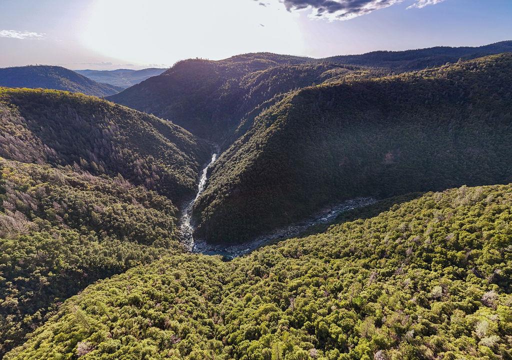 11192 Sebastopol Road North San Juan, CA 95960 - Photo 6 of 12 a view of a house with a yard