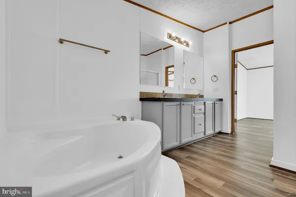 a spacious bathroom with a bathtub a double vanity sink and mirror