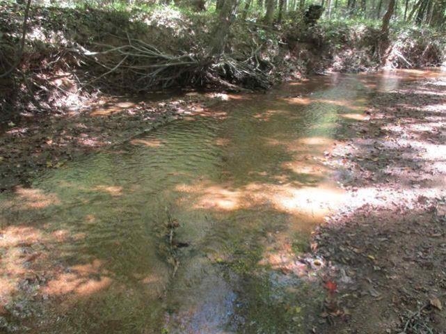 310 Browns Creek Road Union, SC 29379 - Photo 6 of 7