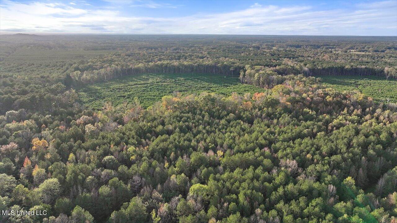 463 North Star Road Braxton, MS 39044 - Photo 10 of 32 10-463 N Star Rd