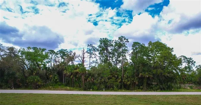 a view of a yard with a fountain