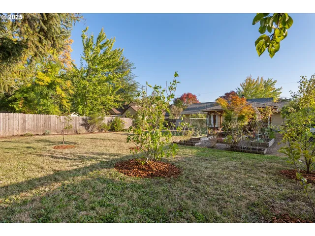 a view of a yard with an outdoor space
