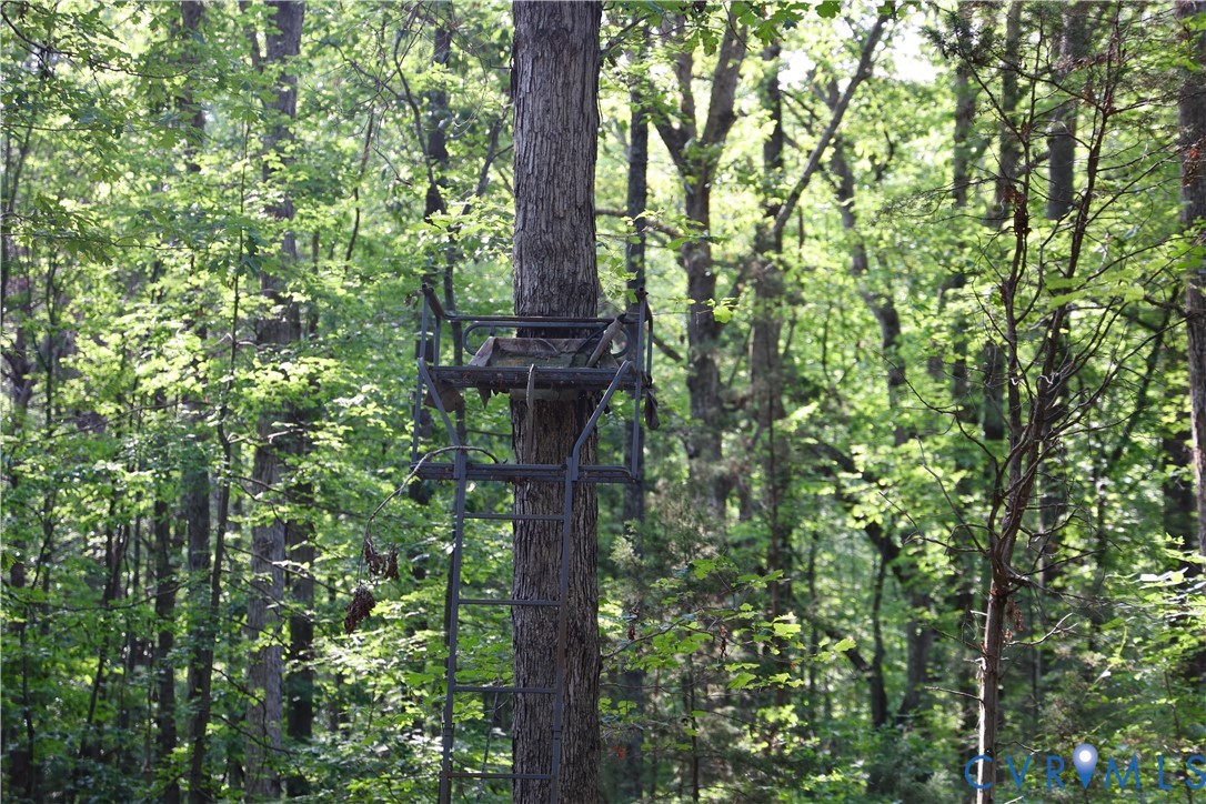1192 West Store Road Halifax, VA 24558 - Photo 72 of 73