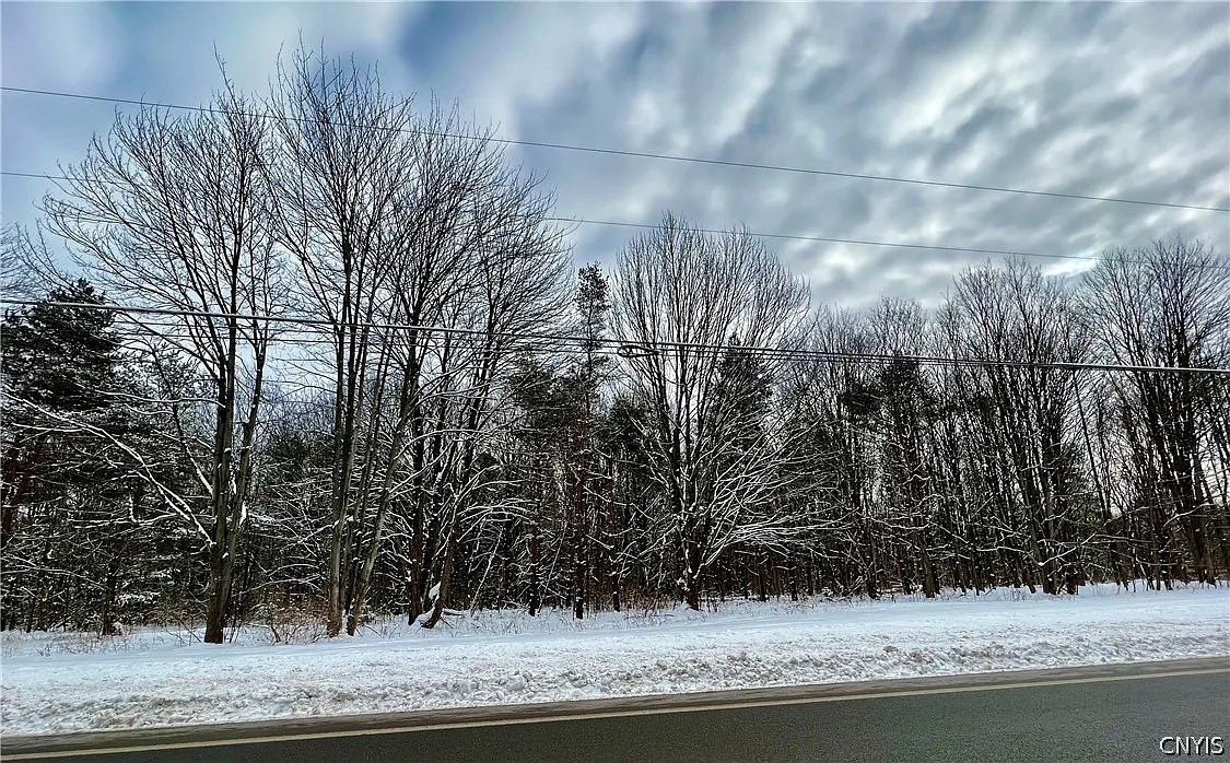 Lot 4 State Route 264 Phoenix, NY 13135 - Photo 1 of 1
