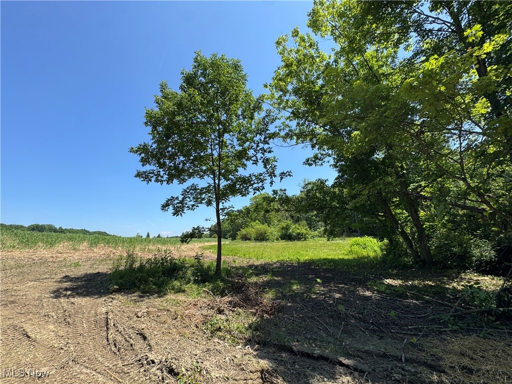 3 Wood Road Madison, OH 44057 - Photo 11 of 13